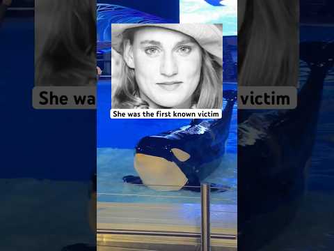 Young girl dies from Killer Whale