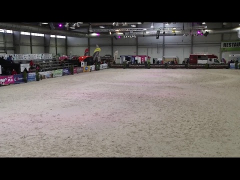 Jezdecký festival 2018 - Soutěže č. 22 - 29 - voltiž jednotlivců a skupin