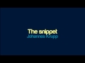 Johannes Krupp - The snippet (pauseless)