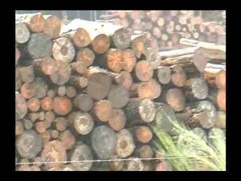 Wallmapu (Documental, 2001)