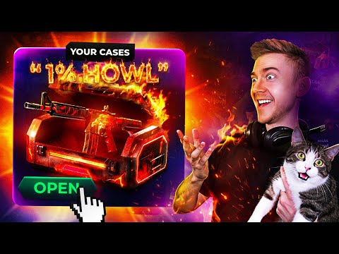 Your Ridiculous Cases! (SC)