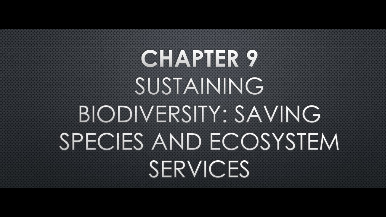 APES Chapter 9 Presentation