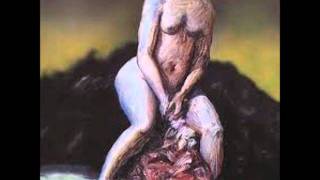 The Red Krayola - Stil de Grain Brun