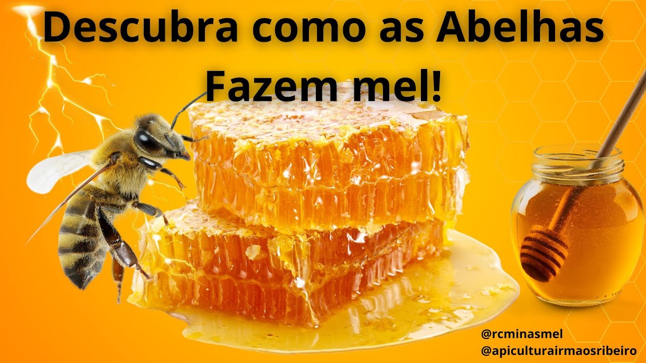 Como as Abelhas Fazem o Mel?