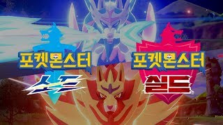 포켓몬스터 실드 한글판 SWITCH, 패키지칩_동영상_이미지