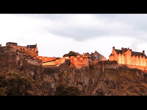 Feliton Music -  ¿Dónde Quedó? (Oficial Visualizer)