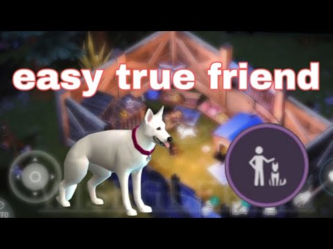 easy trick for true friend dog ldoe. last day on earth.