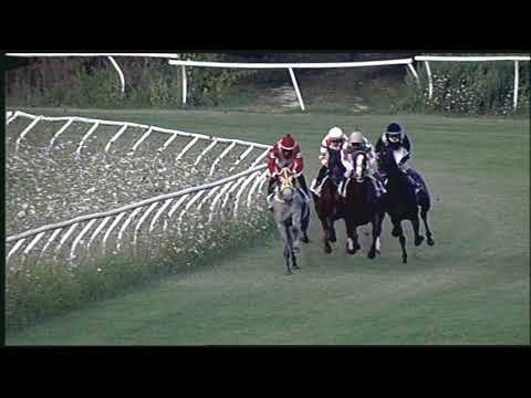 Galoppo 05/08/2020 - 3ª corsa