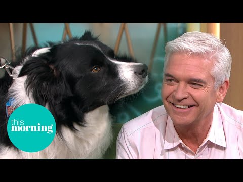 Phillip & Britain's Smartest Dog Make Special Connection | This Morning