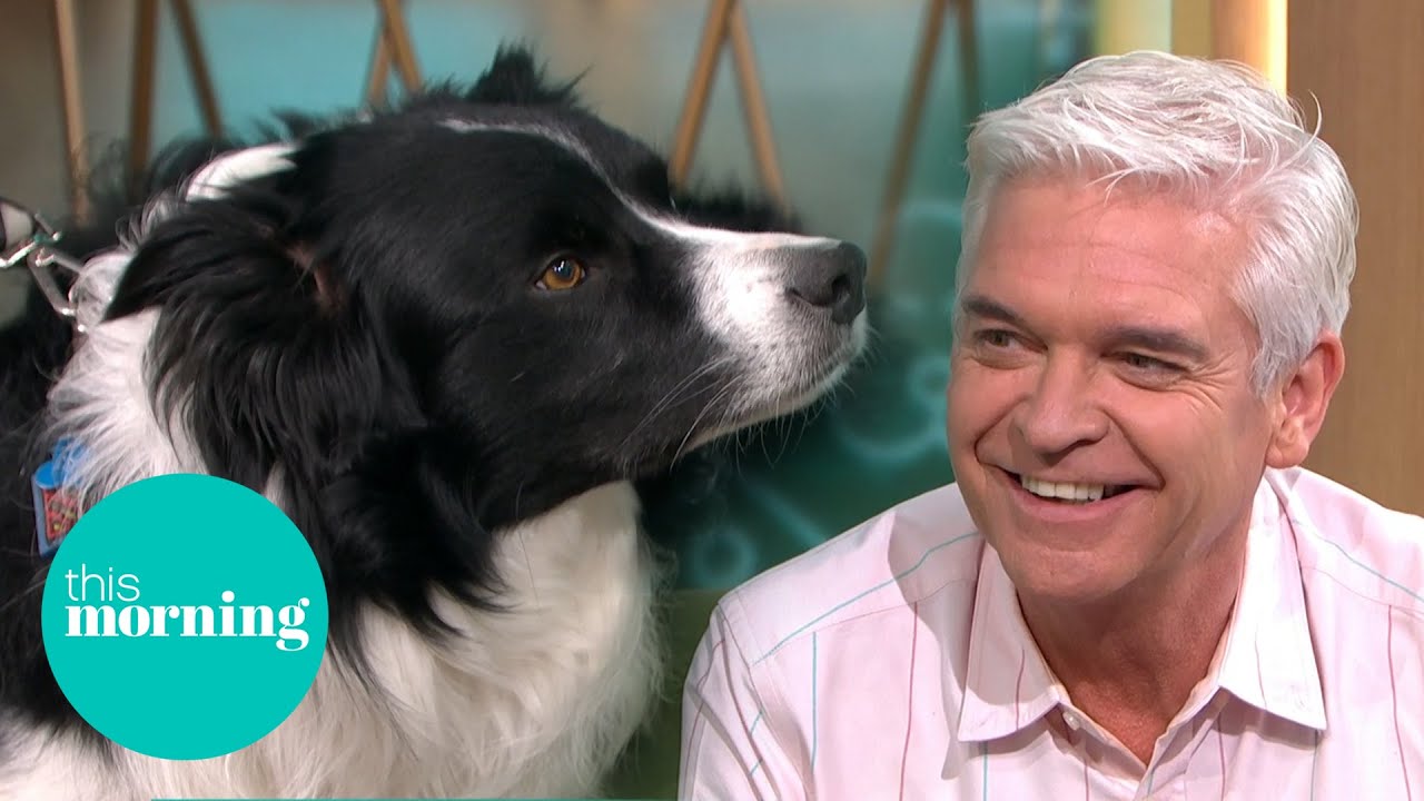 Phillip & Britain's Smartest Dog Make Special Connection | This Morning