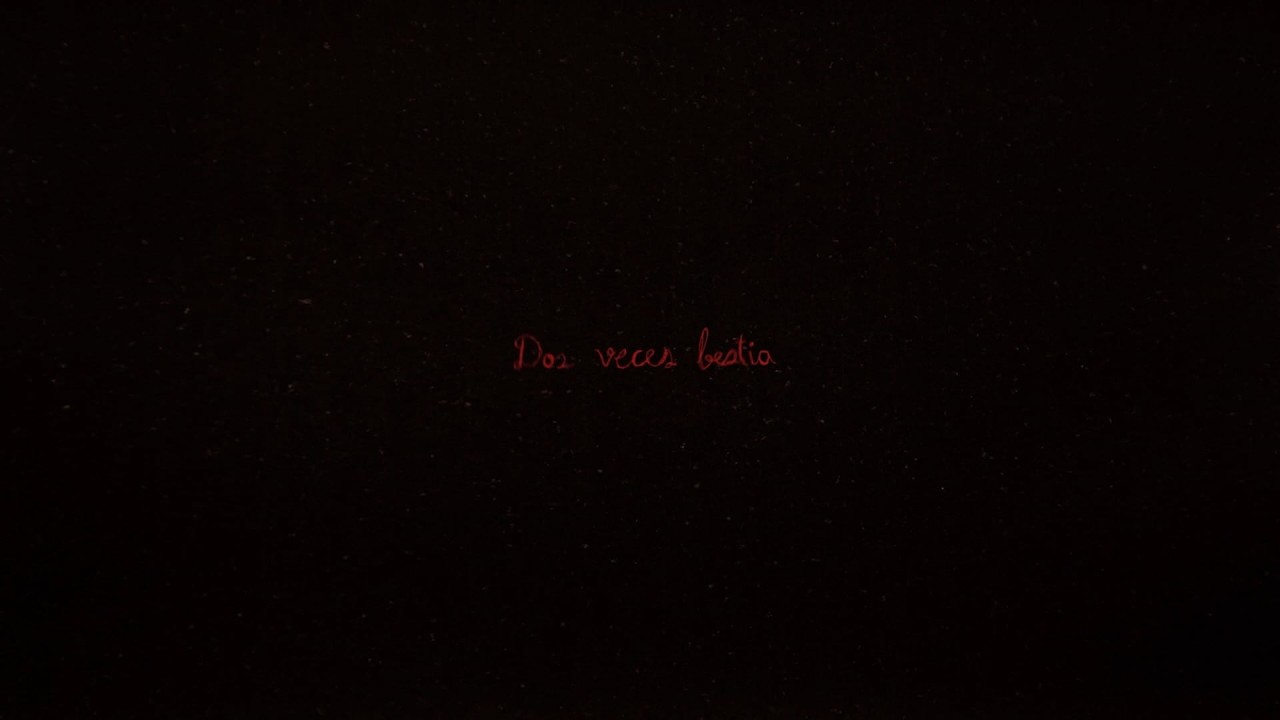 DOS VECES BESTIA