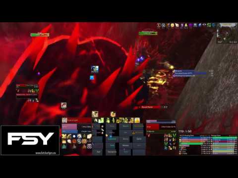 FatSharkYes vs Ursoc - Holy Paladin Pov