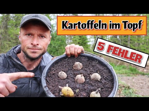Kartoffeln im Topf anbauen: 5 fatale FEHLER + genaue ANLEITUNG