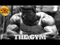 Malayalam Gym Whatsapp Status FT ARNOLD