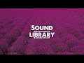 Bad Ideas Silent Film Dark Kevin MacLeod Vlog No Copyright Music Jazz Blues Music Funky Music