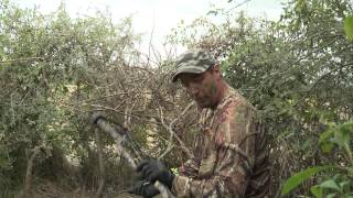 The dove bow hunter.