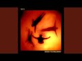 Icarus (with Tony Walsh)
