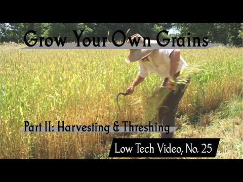 Grow Your Own Grains, Part 2: Harvesting and Threshing -- Low Tech Video, No. 25