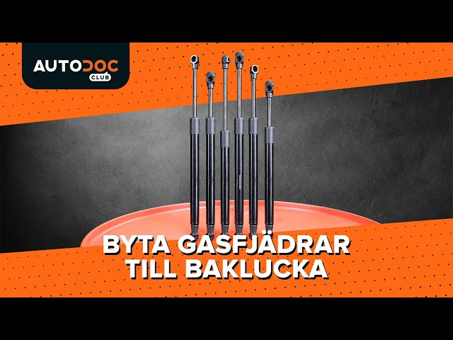 Se en videoguide om Gasdämpare baklucka byta i TOYOTA Starlet Hatchback 1000 (KP_)