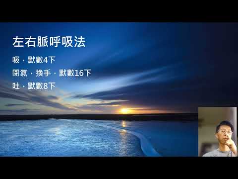 左右脈