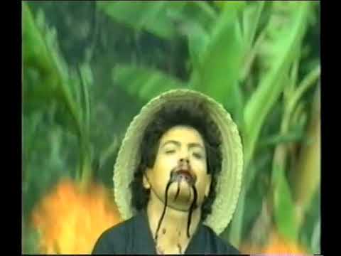 Combate Salvaje/Sudamerica Matar O Morir/Guerrilleros Salvajes ('87)