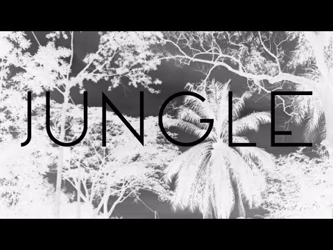 Miles & Miles - Welcome to the Jungle (ft. Eitch)