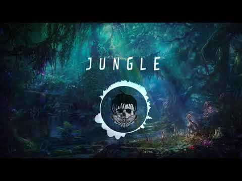 FREE Jungle   PNL Type Beat
