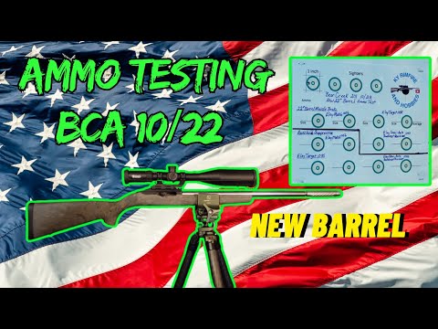 10/22 New Barrel Ammo Testing with Eley epic demo