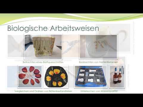 Die Biologie der IKS stellt sich vor.