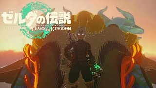 【ゲーム雑談】でも、幸せならOKです！ゼルダの伝説ティーアズオブザキングダム【Day5】