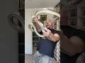 This Snake Terrified Millions… And It’s NOT Venomous #shorts  #snake