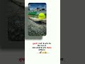 Tumhare Bina Na Dil Viralshorts Youtubeshorts Https Youtube Com Shorts LTM Pi2cDm4 Feature Share