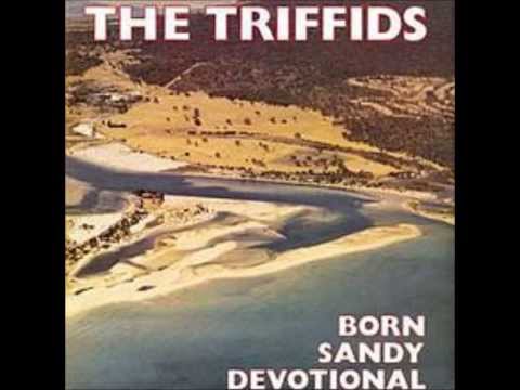 tender is the night - the triffids