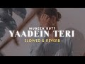 Yaadein Teri Mubeen Butt Slowed Reverb Heart Snapped