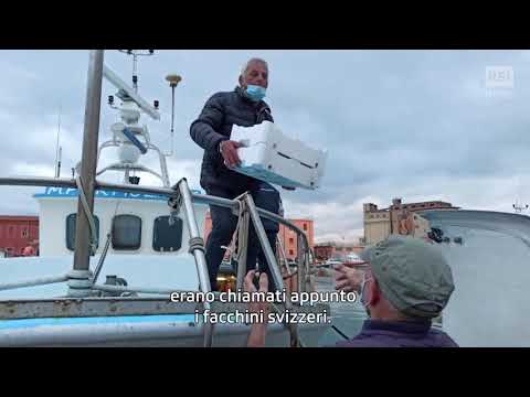 Livorno, Città delle Nazioni | RSI Info