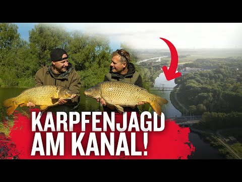 Carp fishing on the canal in Holland – a paradise for anglers? Klaus Wegmann and Stefan Göhring o...