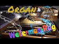 The Wellerman (Sea Shanty) Ragtime for Organ
