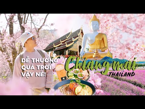 DU LỊCH CHIANG MAI TỰ TÚC MỚI NHẤT|
