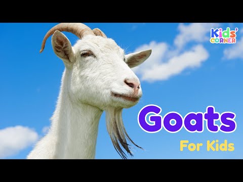 Goats For Kids | Facts About Goats | Learn About Goats | Animals For Kids