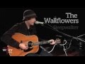The Wallflowers - "Sleepwalker" (Live at WFUV)