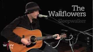 The Wallflowers - &quot;Sleepwalker&quot; (Live at WFUV)