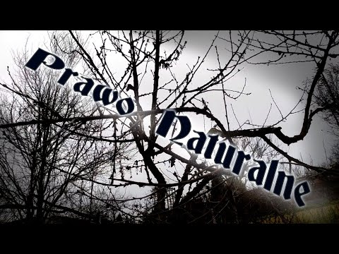 Prawo Naturalne - kluczowa wiedza cz.1