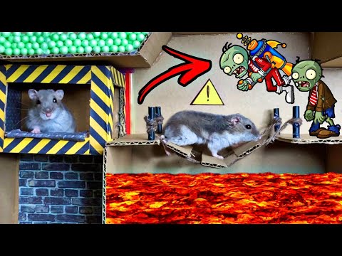 Cute Hamster vs Zombies 🐹 Hamster Escape Zombie Obstacle Course