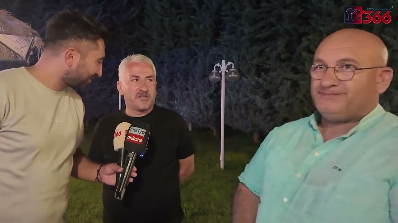 TV366