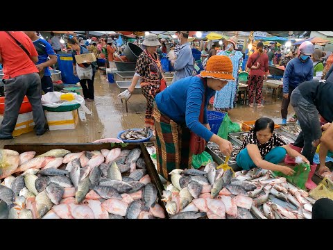 Wonderful Site Distributes Lively Fish, Lobsters & Seafood @Chhbar Apov - Amazing Market Scenes