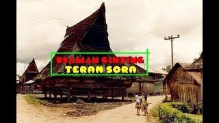Download lagu Usman Gt - Teran Sora mp3 Download lagu Usman Gt - Teran Sora mp3