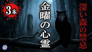 ★金曜心霊特集【お昼の怪談 8月21日】 深い森の怖い話 【怖い話,怪談,睡眠用,作業用,朗読つめあわせ,オカルト,ホラー,都市伝説】