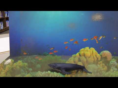 Whales by Janaya and Mohamed