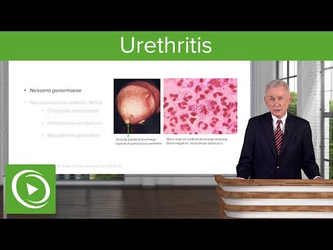 Prostatitis Valtrex