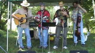 Old Dawg Bluegrass - My Love Will Not Change